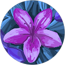 Pawan profile picture